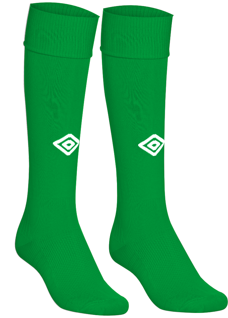 Ashburton Sock Selection   -Emerald Green Kit